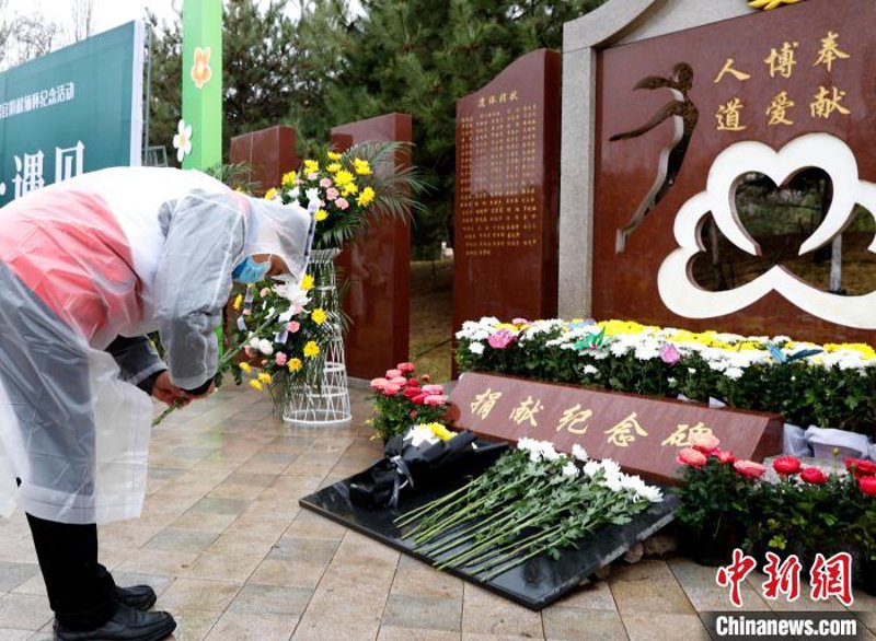 无偿献血，让爱流淌在血液中