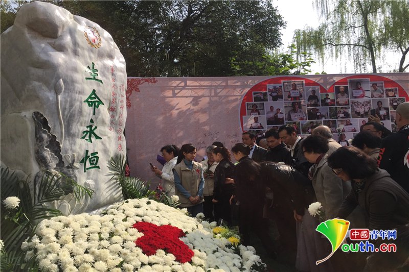急救培训:提升生命保护网的韧性与弹性